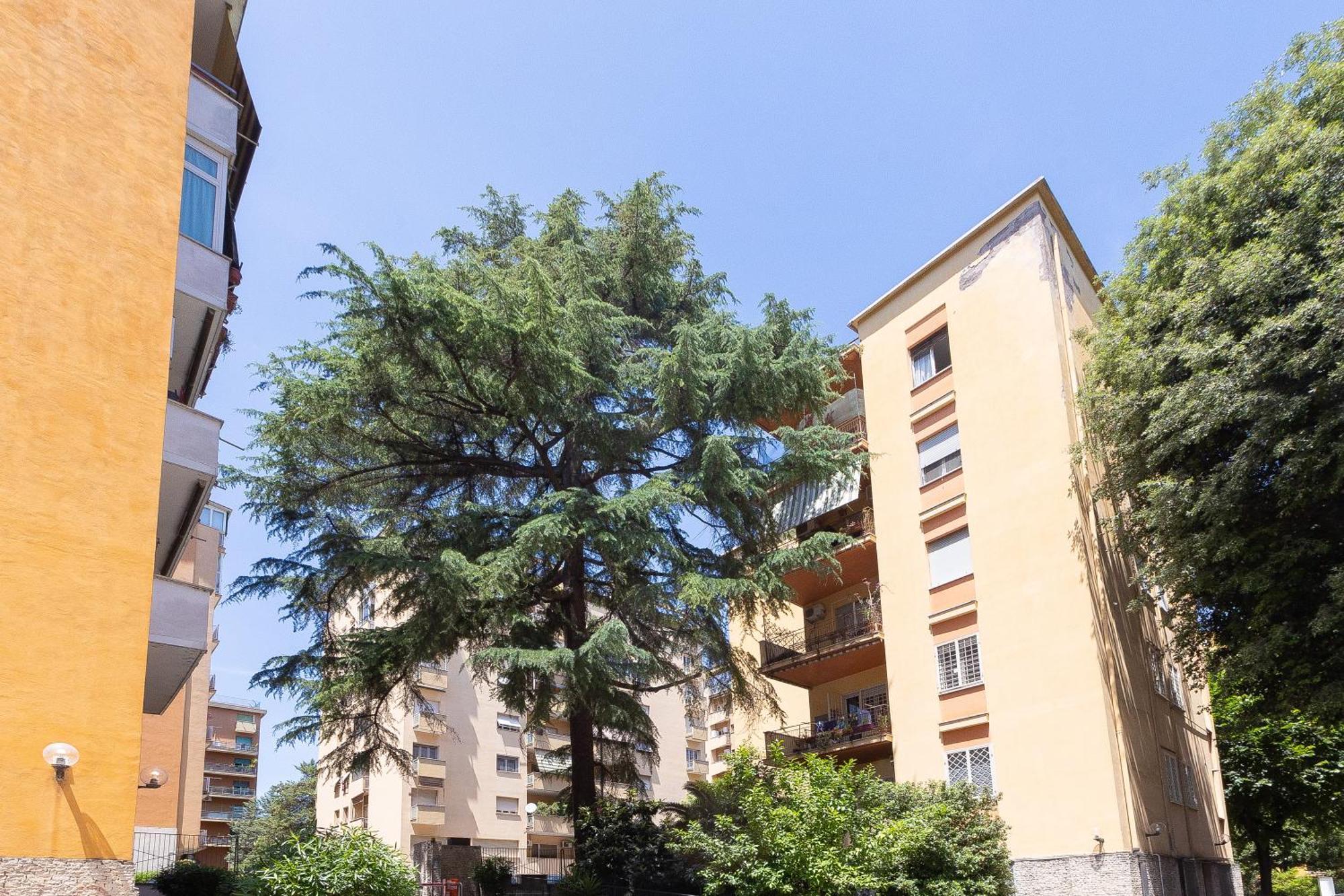 La Casa Di Rob E Cris Lägenhet Rom Exteriör bild